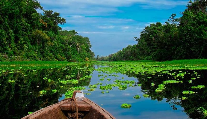 Iquitos